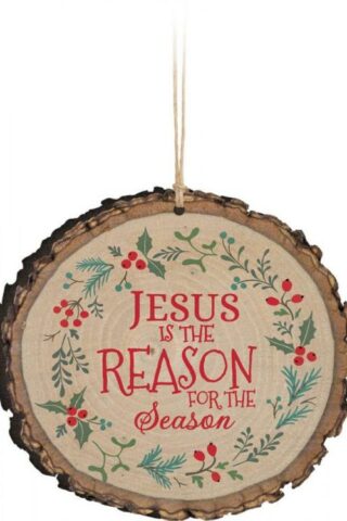 656200199084 Jesus Is The Reason Sliced Log (Ornament)