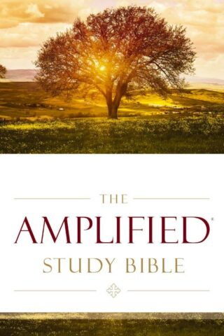 9780310440307 Amplified Study Bible