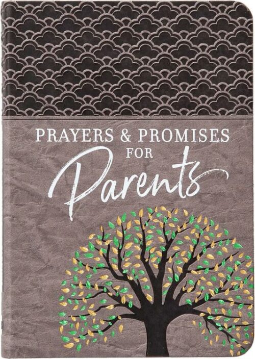 9781424566662 Prayers And Promises For Parents