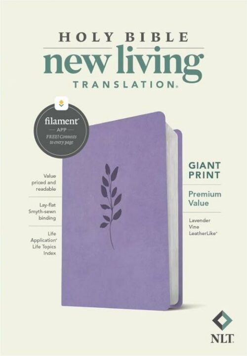 9781496482624 Giant Print Premium Value Bible Filament Enabled Edition