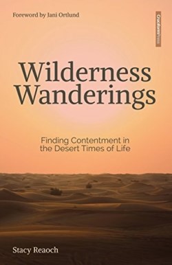 9781941114520 Wilderness Wanderings : Finding Contentment In The Desert Times Of Life