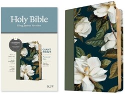 9781496480071 Personal Size Giant Print Bible Filament Enabled Edition