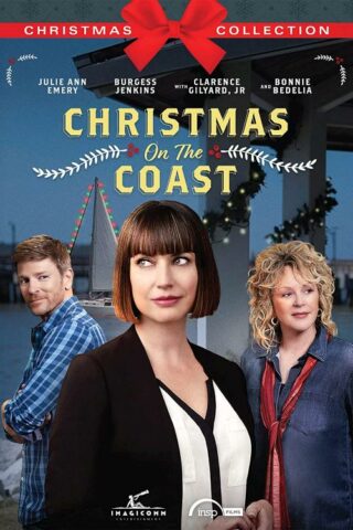 683904708786 Christmas On The Coast (DVD)