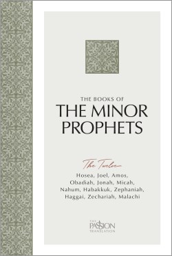 9781424569915 Books Of The Minor Prophets The 12