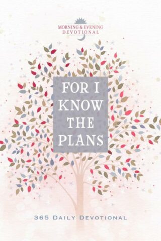 9781424570874 For I Know The Plans