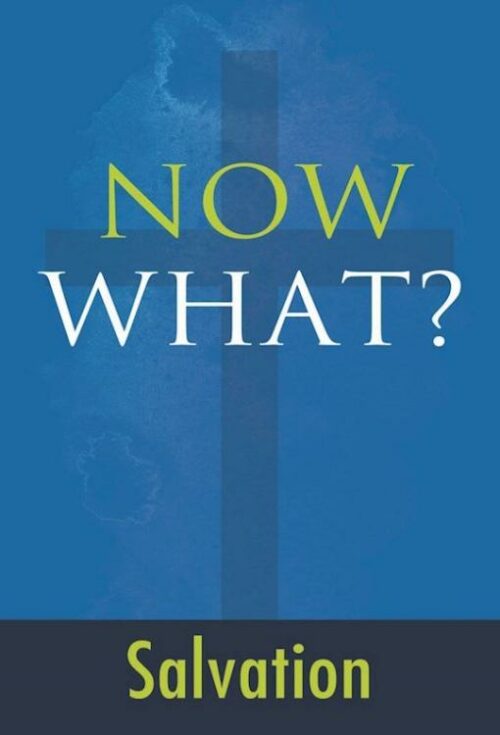 9781607316305 Now What Salvation