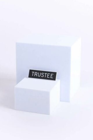 788200806911 Trustee Badge